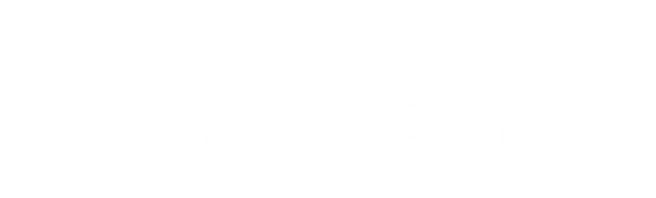 EasyChip